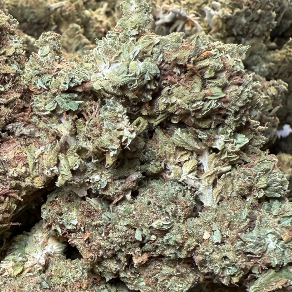 Maui Wowie Greenhouse Standard