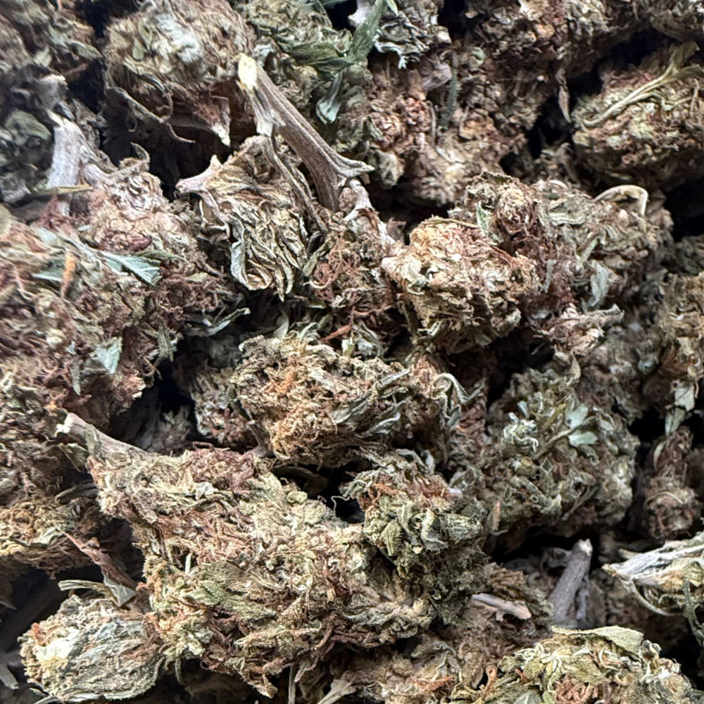 Fluffy Puffy Exterior Regular