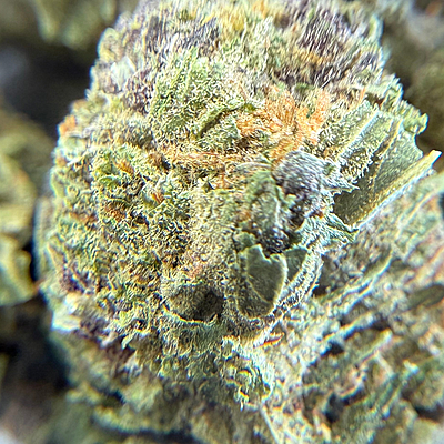 Dos Si Dos Greenhouse Select Dos Si Dos Greenhouse Select