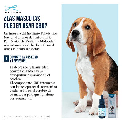 Gotero Vet 300 mg