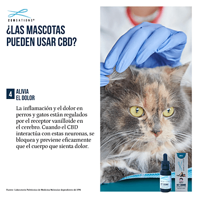 Gotero Vet 300 mg