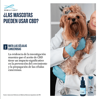 Gotero Vet 300 mg