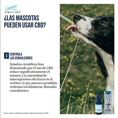 Gotero Vet 300 mg