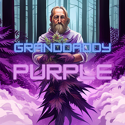 Granddaddy Purple Greenhouse