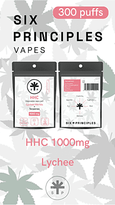 Six Principles Vape Pen Desechable HHC Lychee