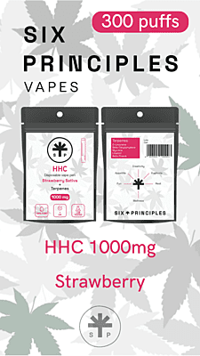 Six Principles Vape Pen Desechable HHC Strawberry