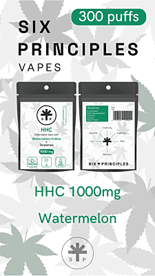 Six Principles Vape Pen Desechable HHC
