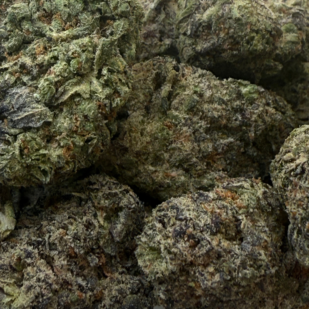 Black Cherry Gelato indoor premium importada