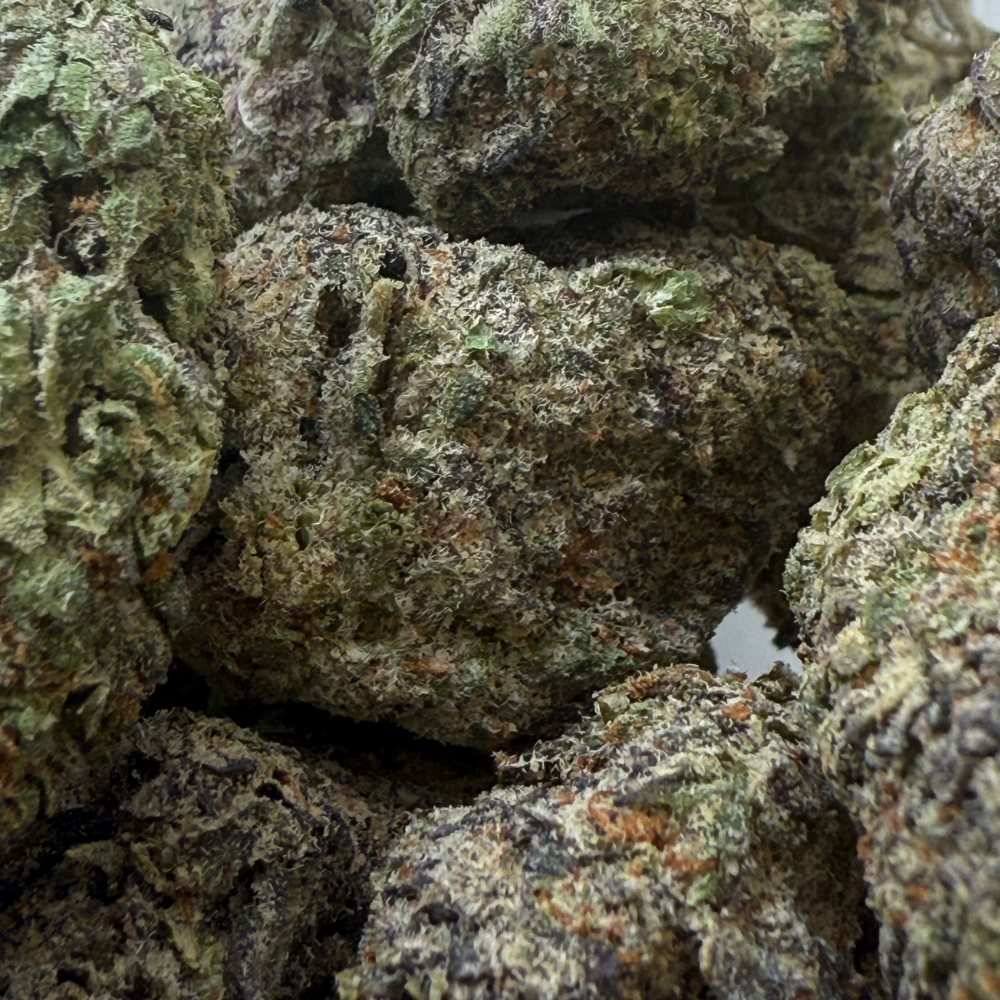 Black Cherry Gelato indoor premium importada