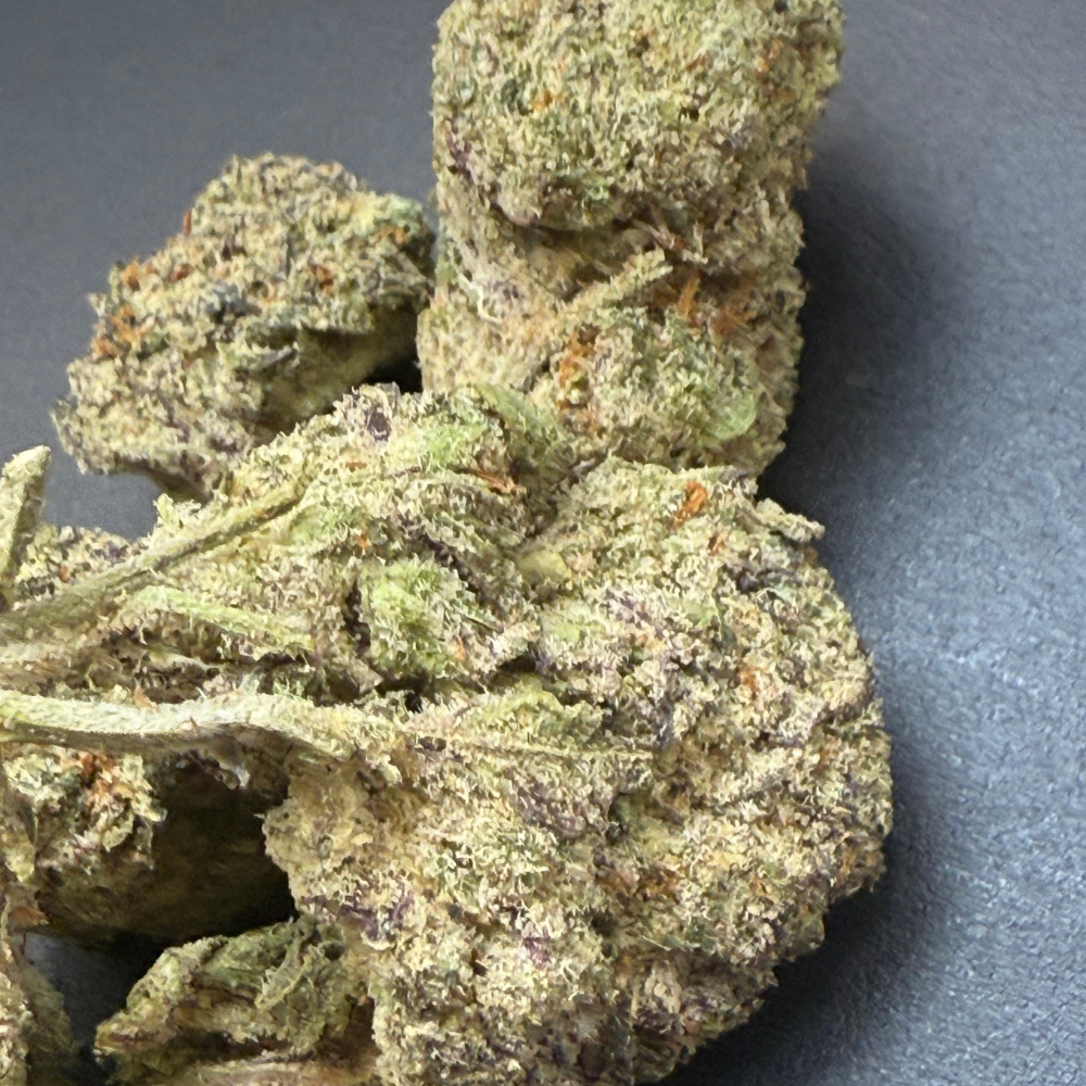 Black Cherry Gelato indoor premium importada