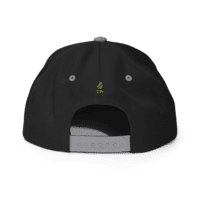 Gorra snapback Dr. Nugget