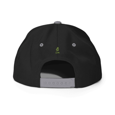 Gorra snapback Dr. Nugget Gorra snapback Dr. Nugget