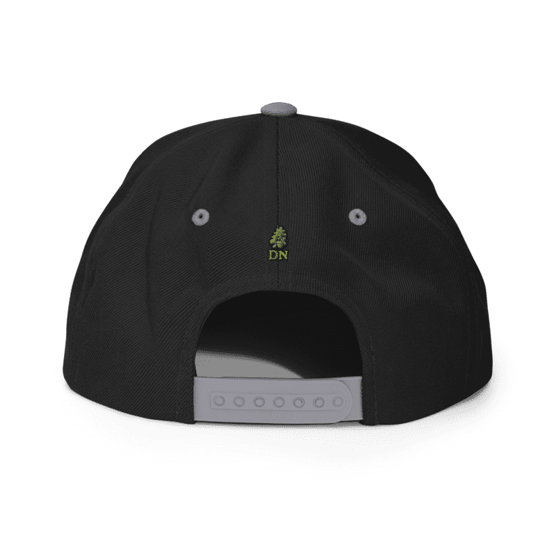 Gorra snapback Dr. Nugget Gorra snapback Dr. Nugget