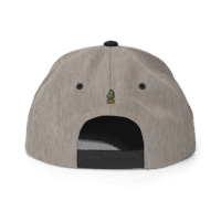 Gorra snapback Dr. Nugget