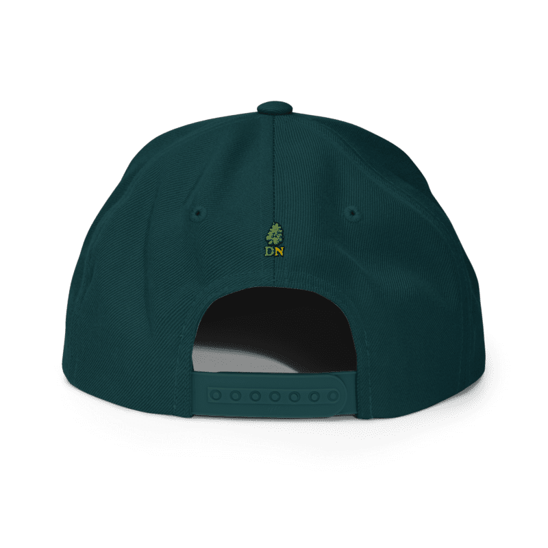 Gorra snapback Dr. Nugget Gorra snapback Dr. Nugget