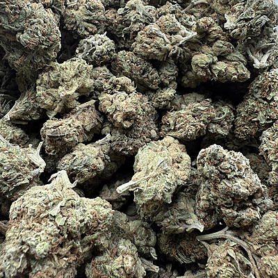 Green Crack Greenhouse Exotic Living Soil