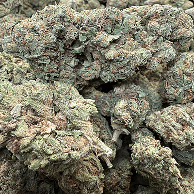 Green Crack Greenhouse Exotic Living Soil