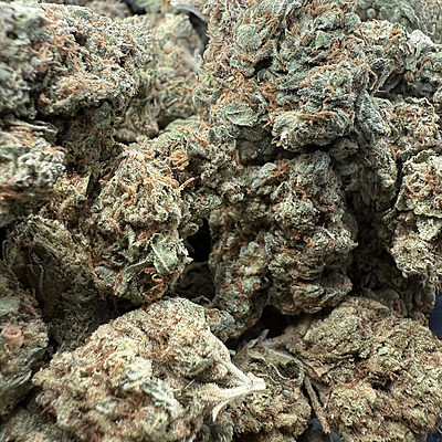 Green Crack Greenhouse Exotic Living Soil