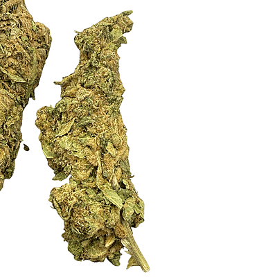 Moby Dick Greenhouse Exotic Orgánica