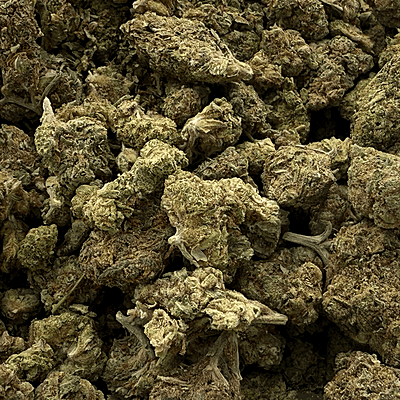 Orange Mintz Indoor Clásica Orange Mintz Indoor Clásica