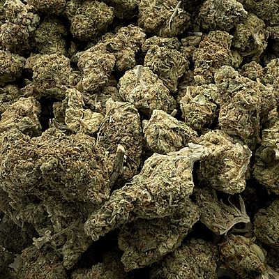 Orange Mintz Indoor Clásica Orange Mintz Indoor Clásica