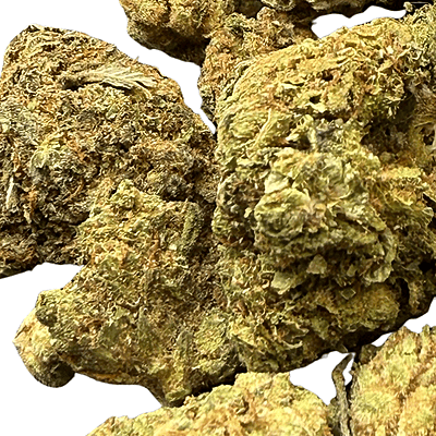 Orange Mintz Indoor Clásica Orange Mintz Indoor Clásica