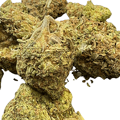 Orange Mintz Indoor Clásica Orange Mintz Indoor Clásica