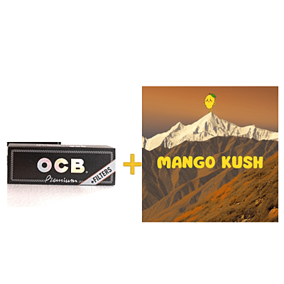 Pack Mango 14 OCB Premium