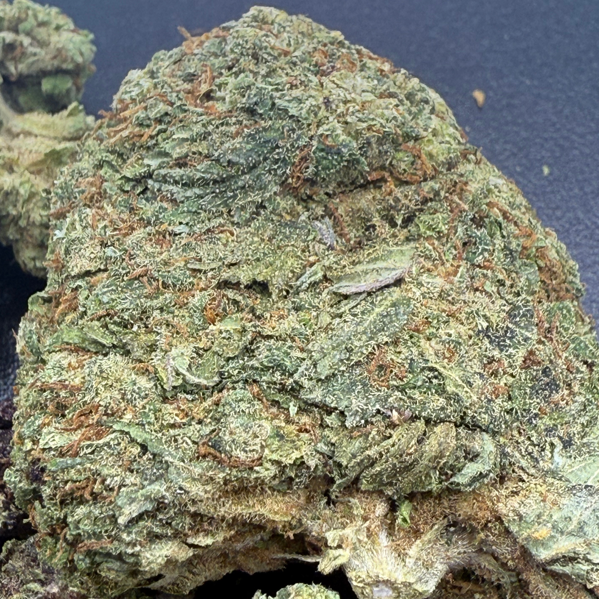 Super Silver Haze Greenhouse Exotic