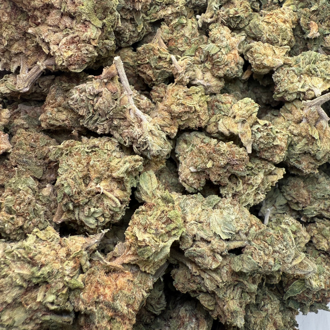 Trainwreck Indoor Básica