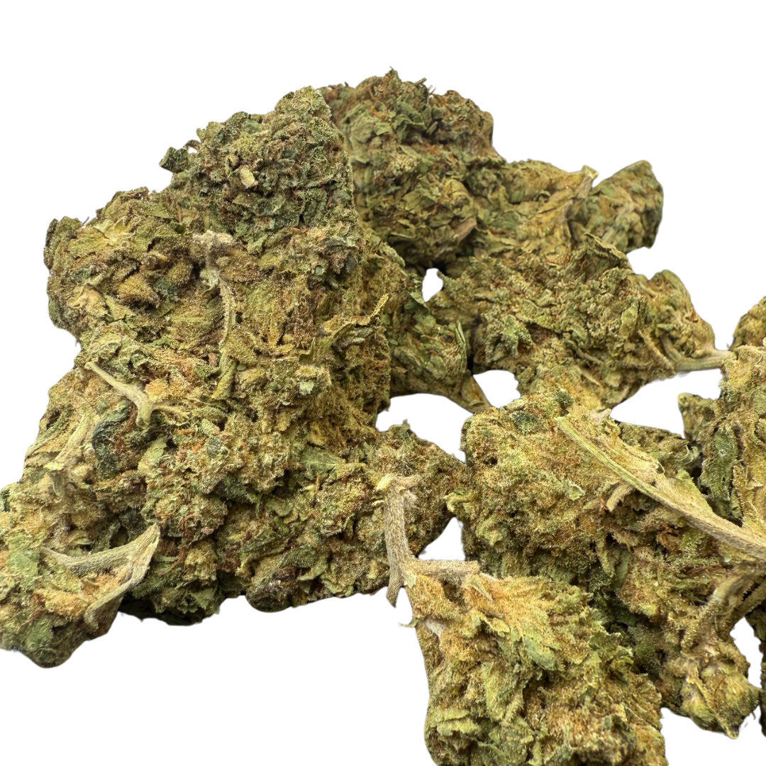 Trainwreck Indoor Básica