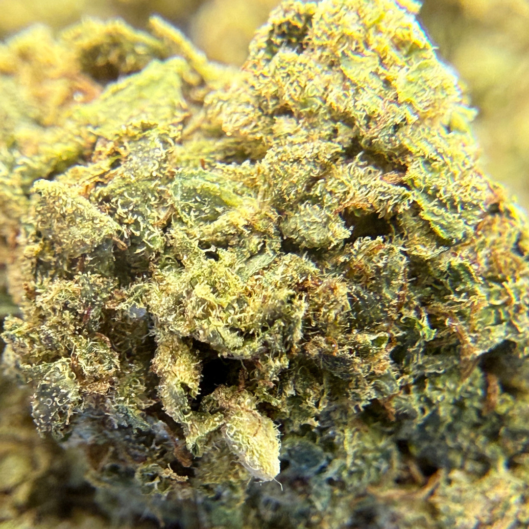 Trainwreck Indoor Básica