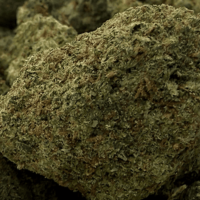 Unicorn Poop Indoor Clásica