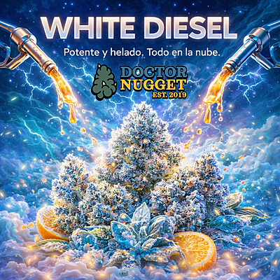 Doctor Nugget White Diesel THC Flor