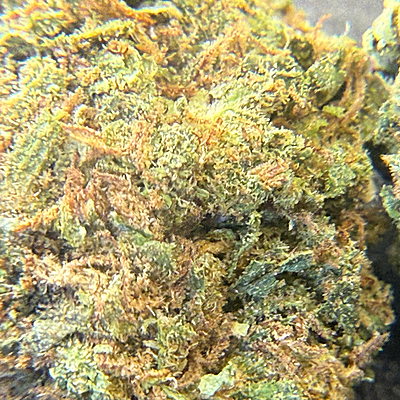 White Diesel Indoor Clásica