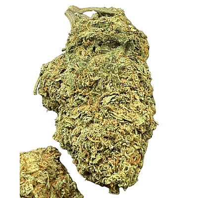 White Diesel Indoor Clásica