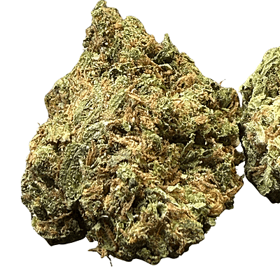 White Diesel Indoor Clásica