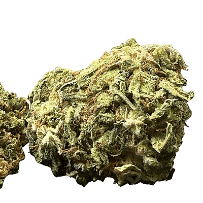 White Diesel Indoor Clásica